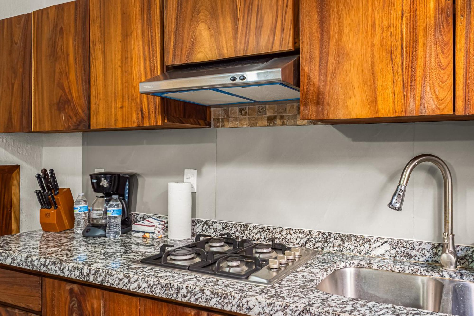 Bucerías Terralta II Casa 15ヴィラ エクステリア 写真